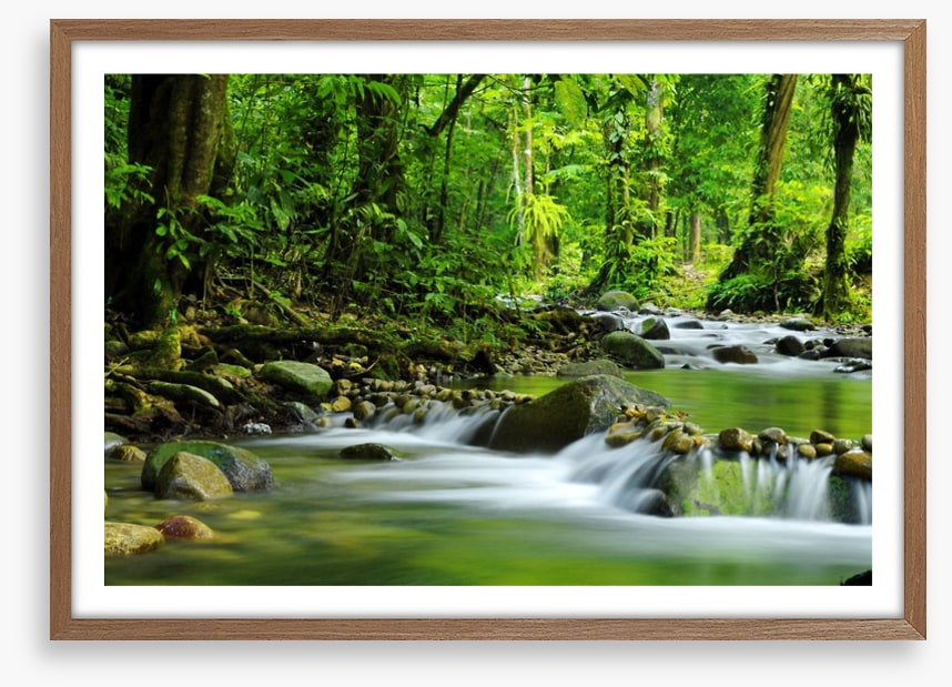 Green jungle stream