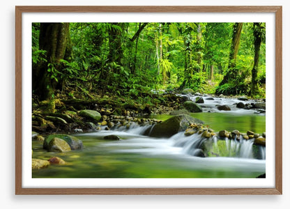 Green jungle stream