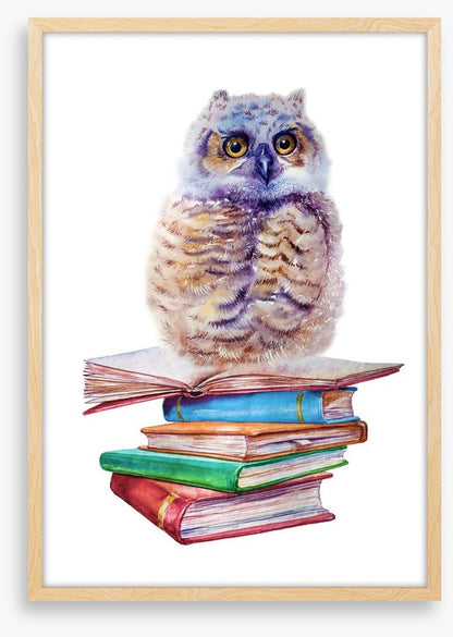Book owl balance