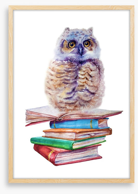 Book owl balance