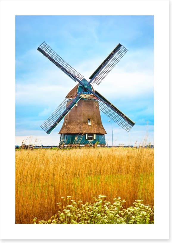 Windmill in the wheat