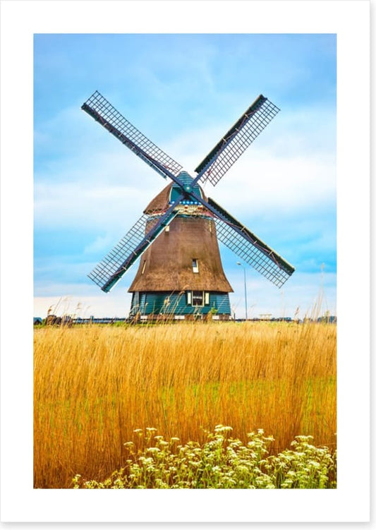 Windmill in the wheat