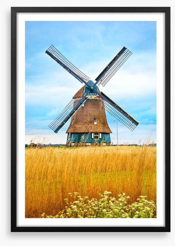 Windmill in the wheat