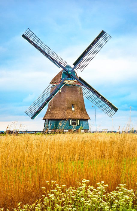 Windmill in the wheat