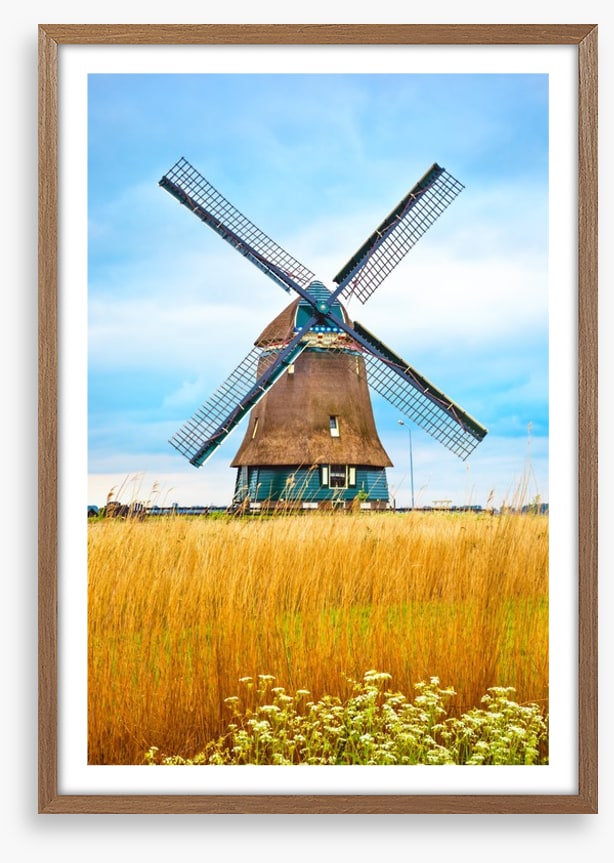 Windmill in the wheat