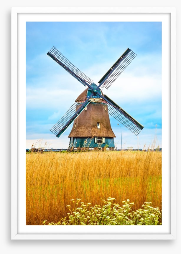 Windmill in the wheat