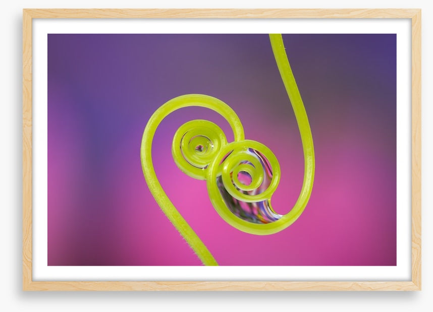 Touching tendrils