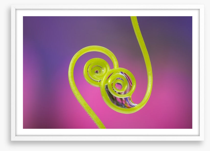 Touching tendrils