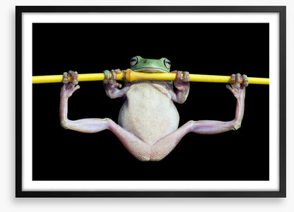 The trapeze artist