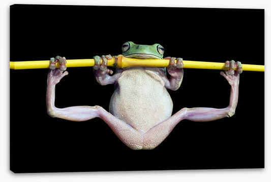 The trapeze artist