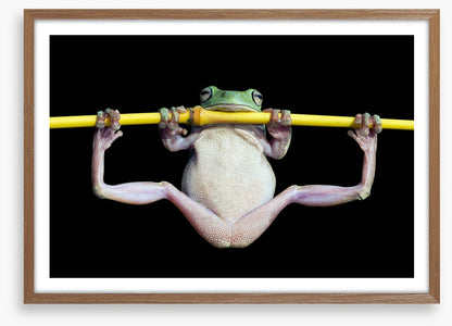 The trapeze artist