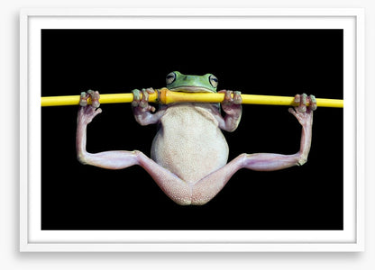 The trapeze artist