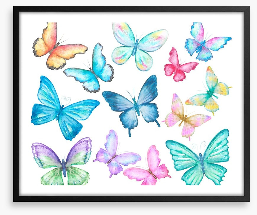 Butterflies