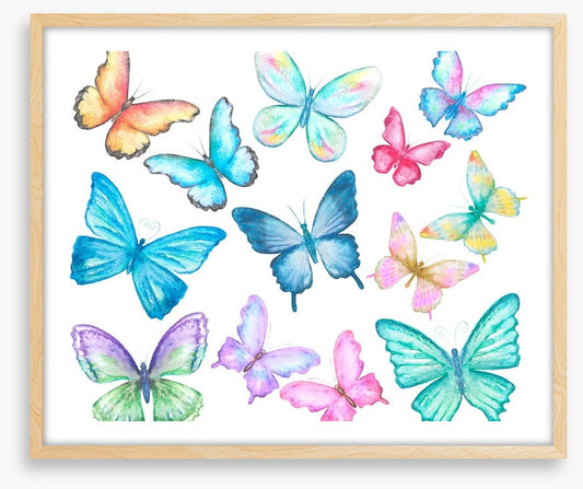 Butterflies