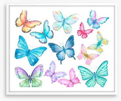 Butterflies