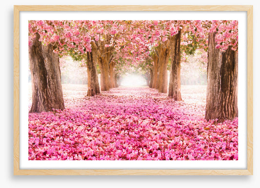 Strolling through spring