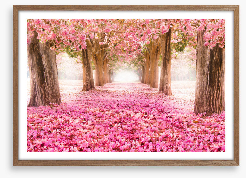 Strolling through spring