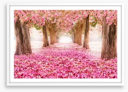 Strolling through spring