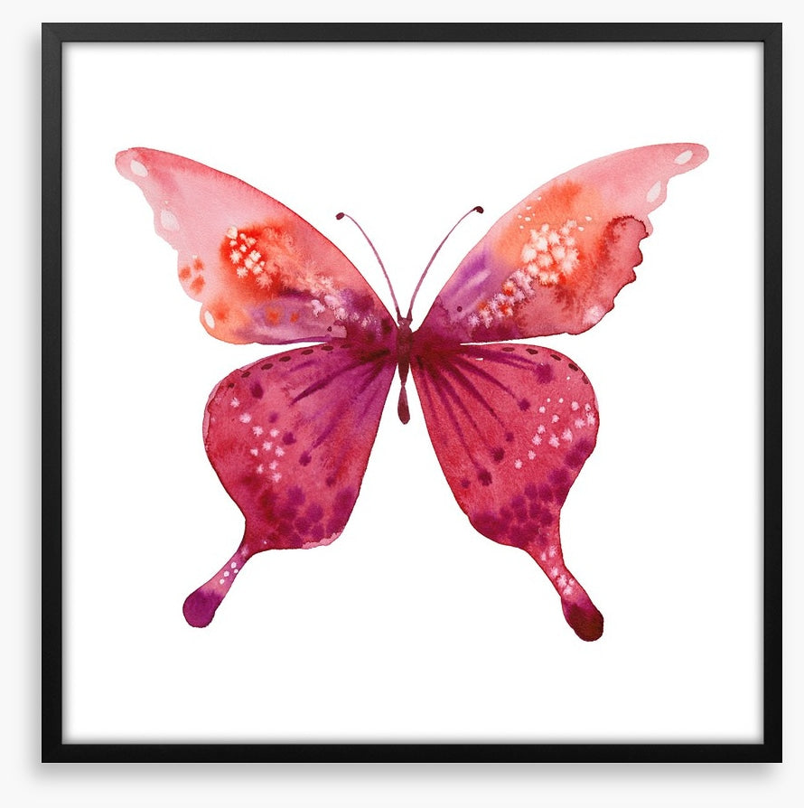 Social butterfly I