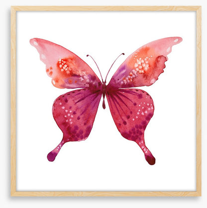 Social butterfly I