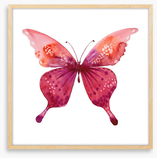 Social butterfly I