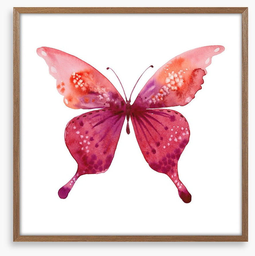 Social butterfly I