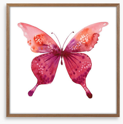 Social butterfly I