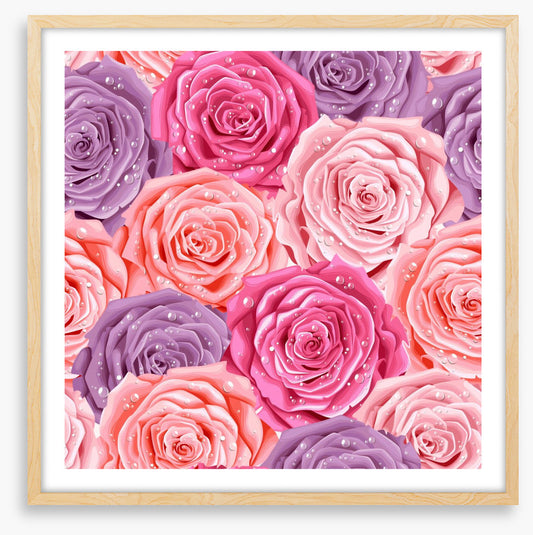 Rosy raindrops
