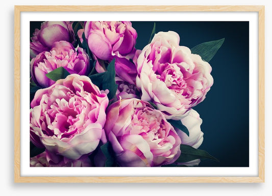 Peony flowers