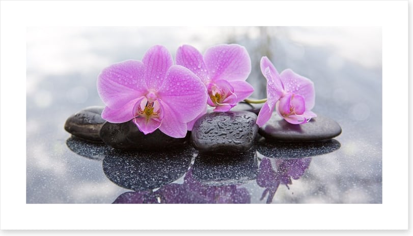 Orchid petal pebbles