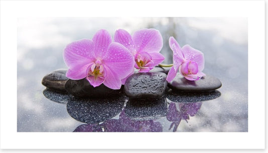 Orchid petal pebbles