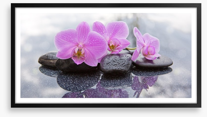 Orchid petal pebbles