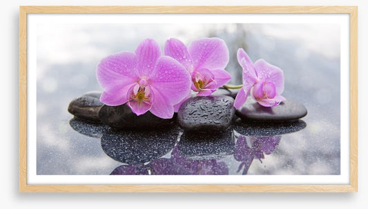 Orchid petal pebbles