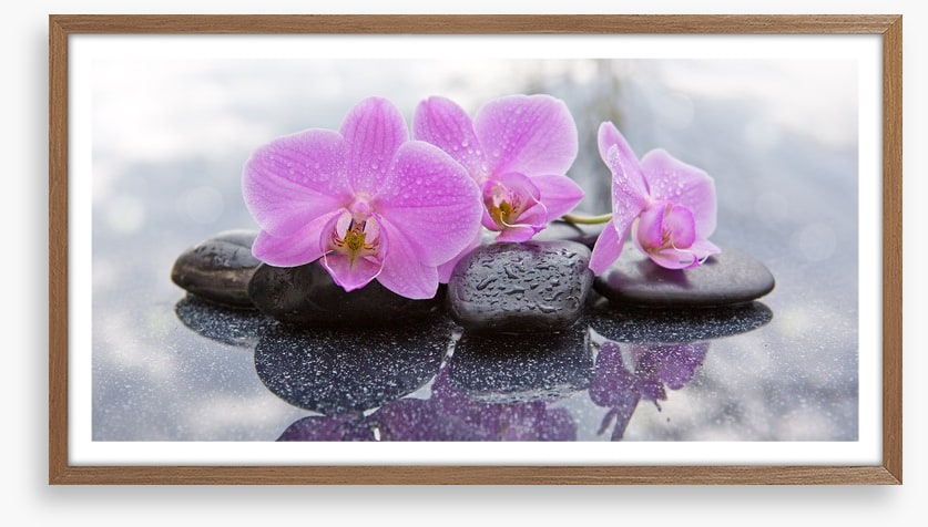 Orchid petal pebbles