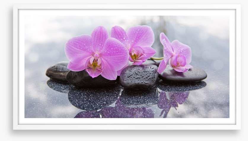 Orchid petal pebbles