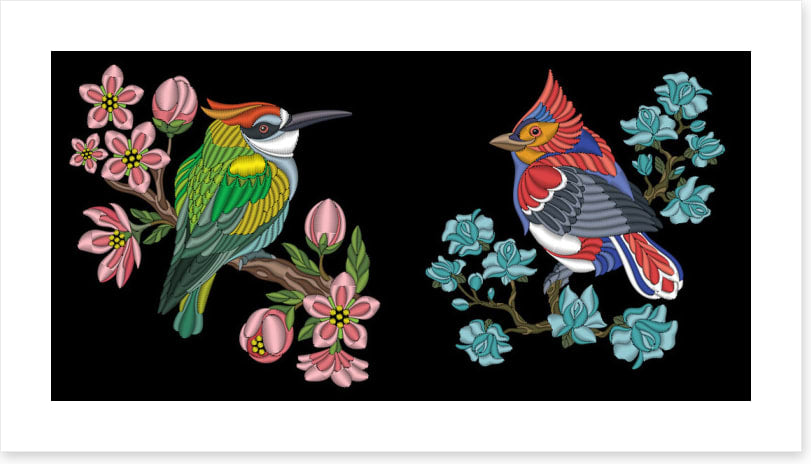 Birds