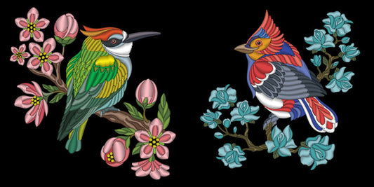 Birds