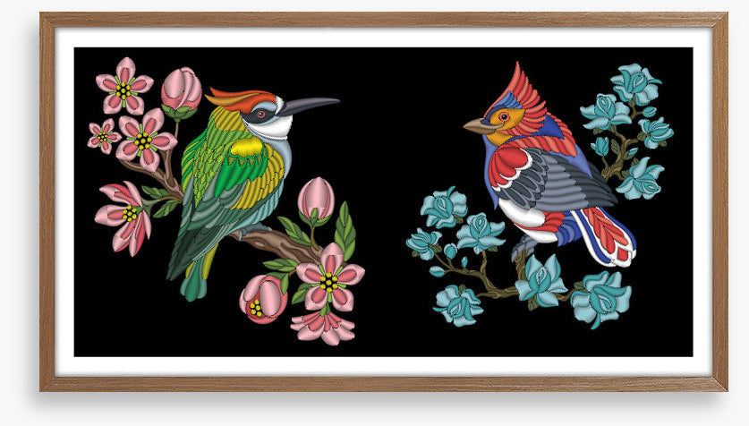 Birds