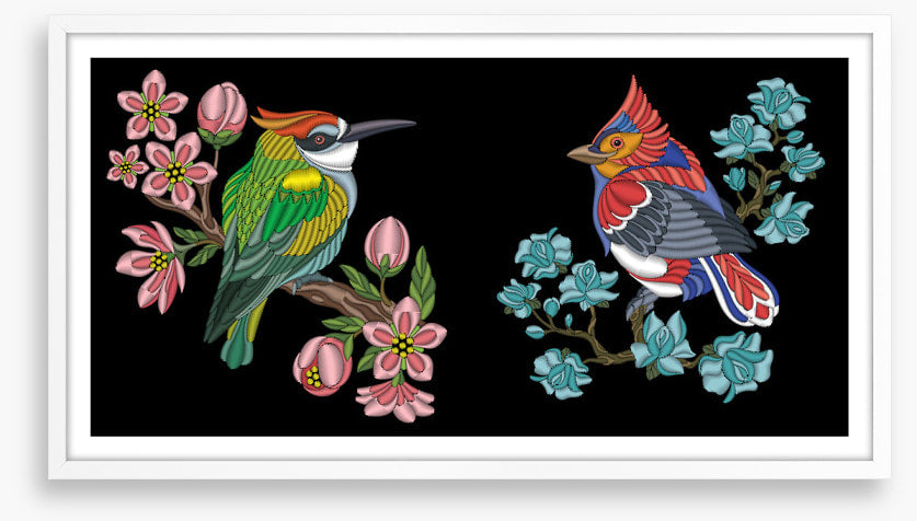 Birds