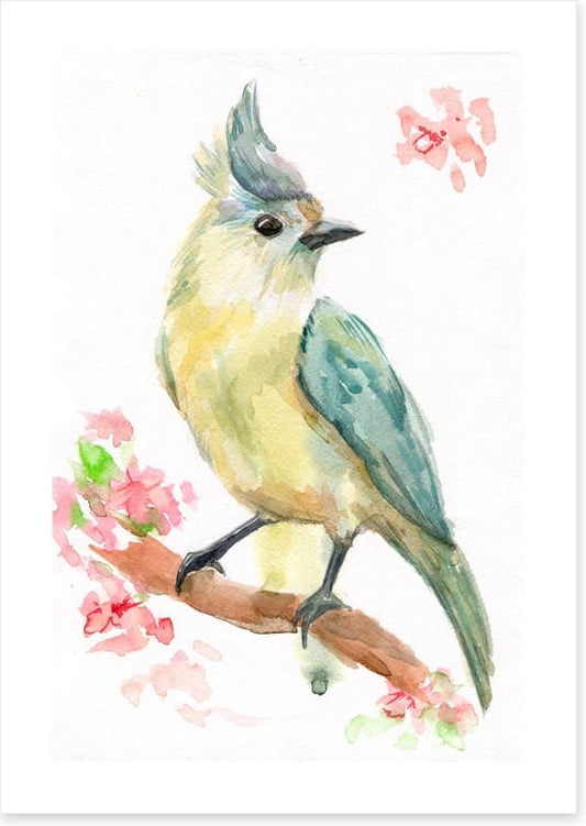 Spring bird branch