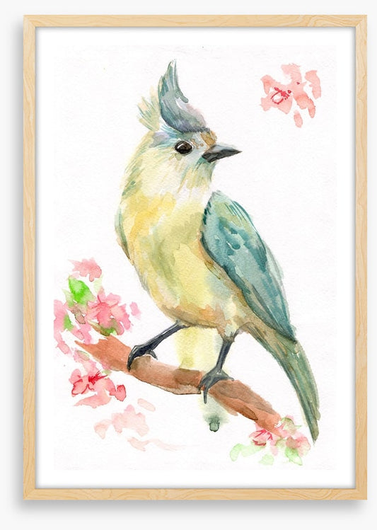 Spring bird branch