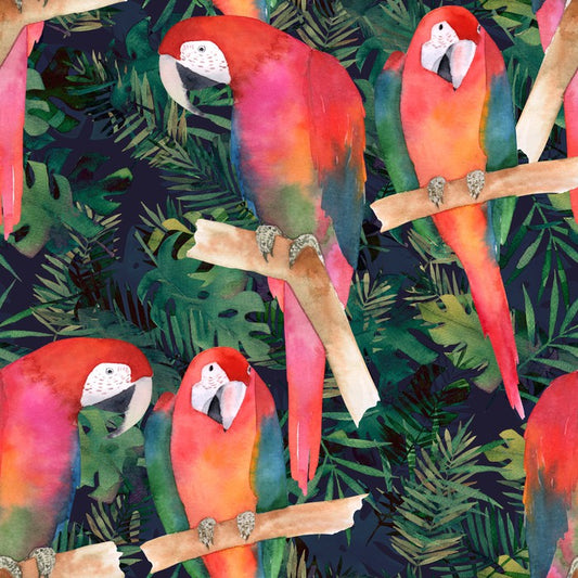 Midnight parrots