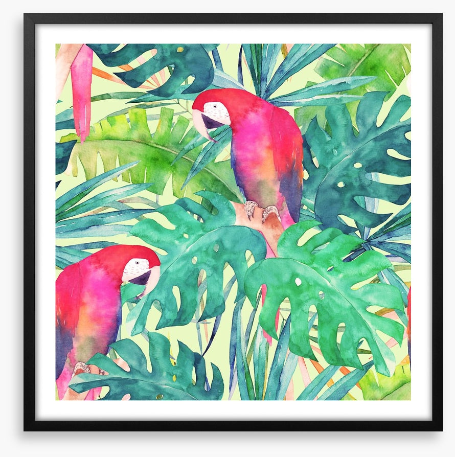 Parrot and palms