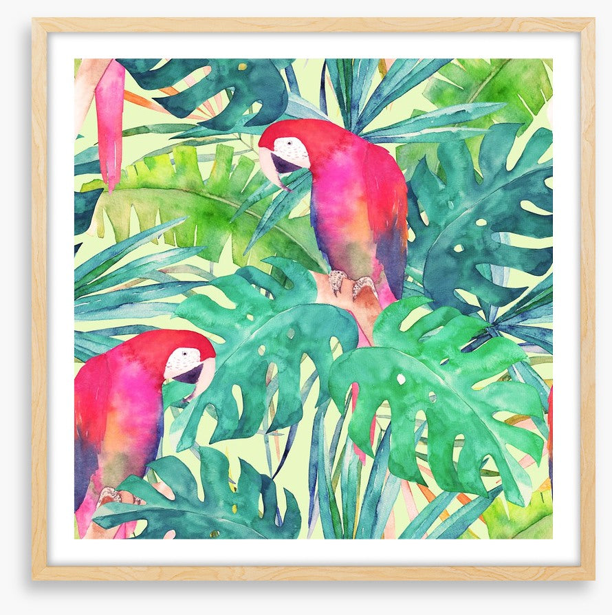 Parrot and palms