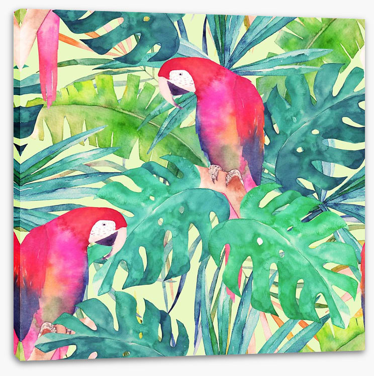 Parrot and palms