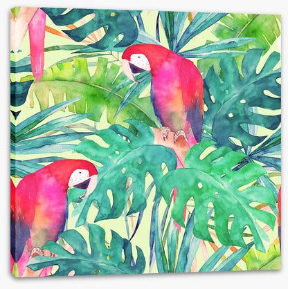 Parrot and palms