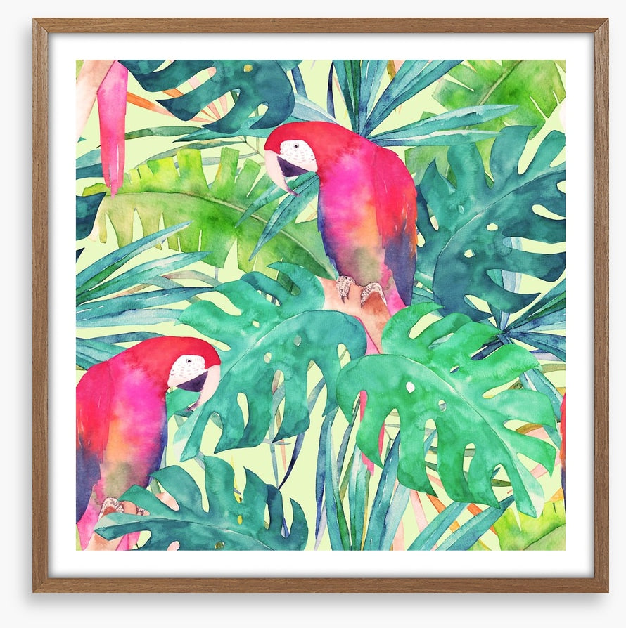 Parrot and palms