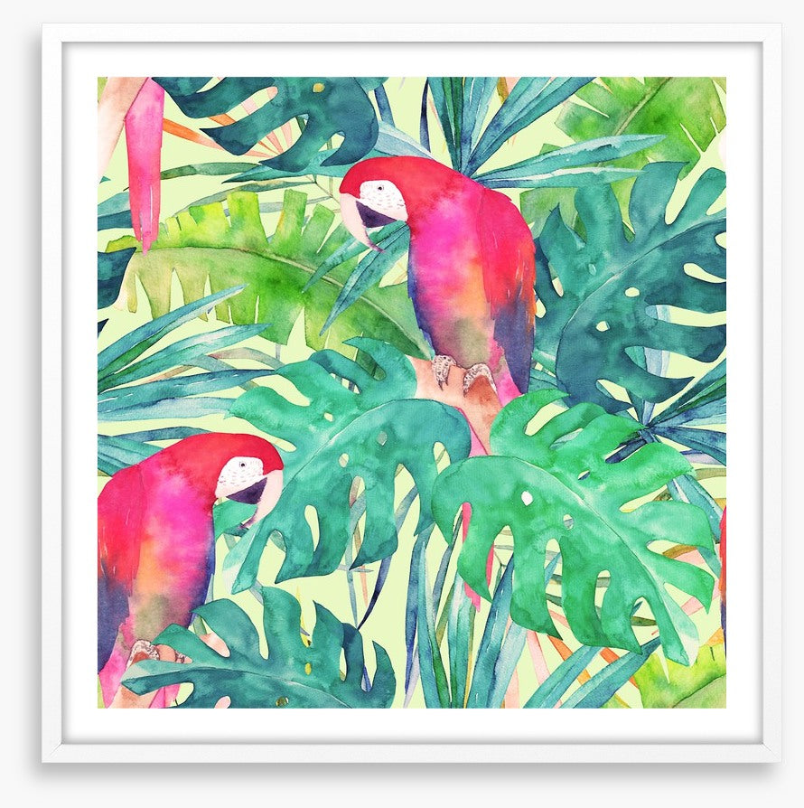 Parrot and palms