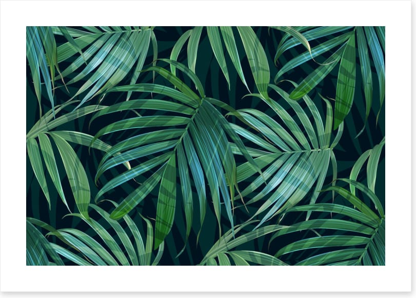 Fronds of fancy