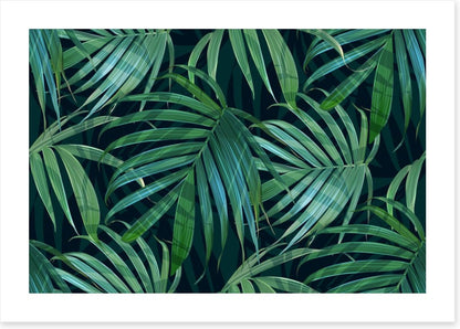 Fronds of fancy